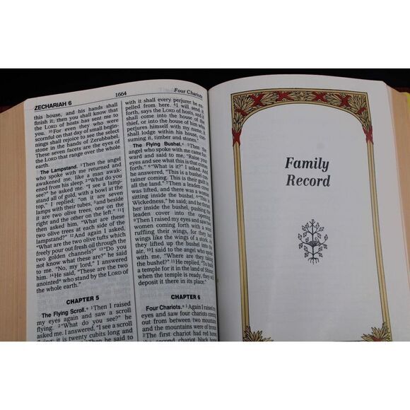 New American Bible- Red- Giant Print- Color Illustra- Saint Joseph Edition- EUC - Picture 8 of 9